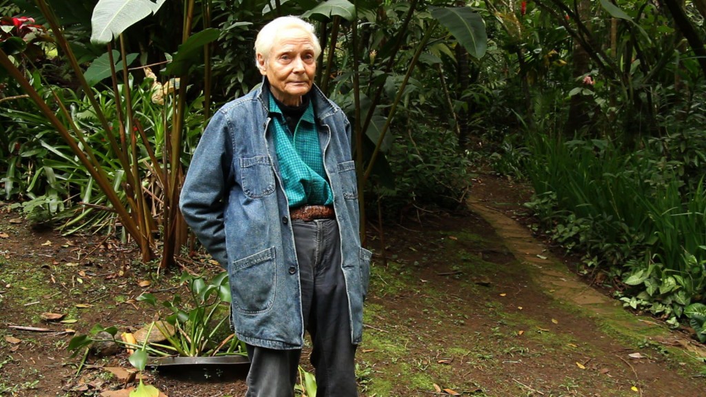 photo of and older merwin in the garden