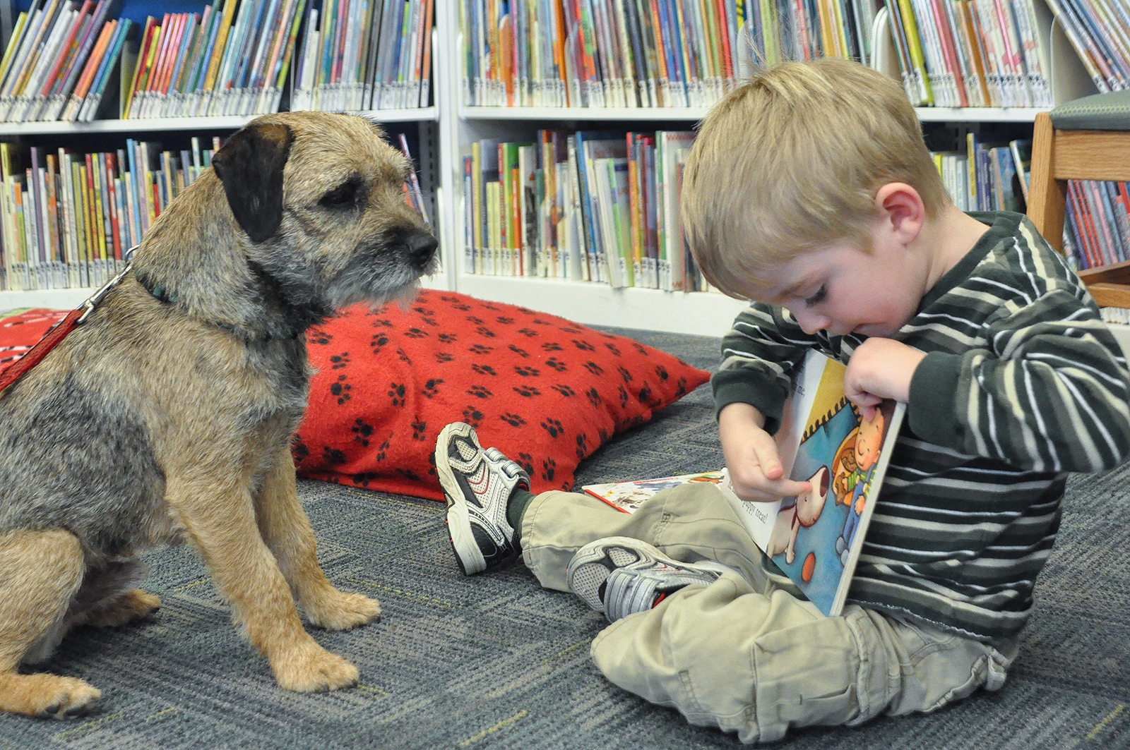 Child reads to dog who listens attentively. 