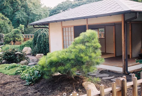 A photograph of BAPL's Japanese Garden of Serenity, right behind the building. 