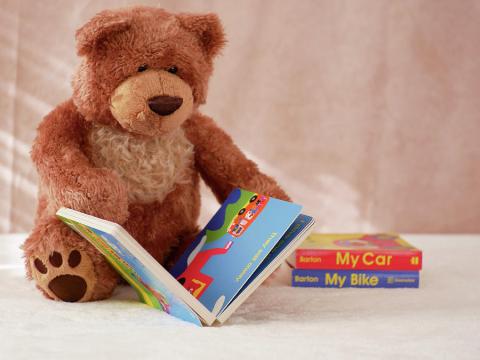 A teddy bear reading a book.