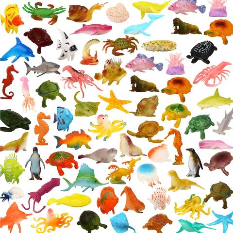 Large variety of ocean animals