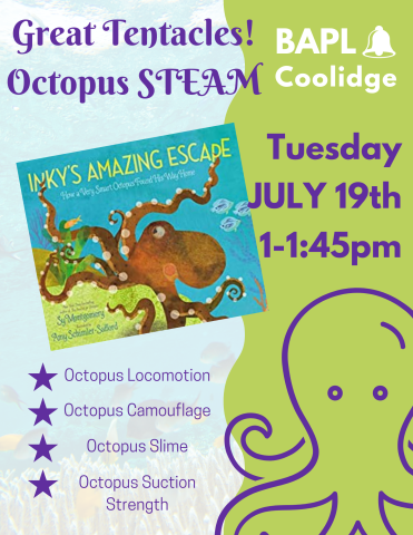 Learn all about octopuses through a little bit of STEAM!