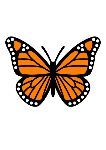 Monarch Butterfly