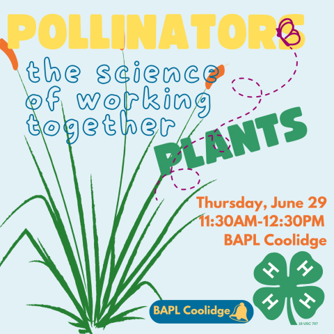 pollinators and plants