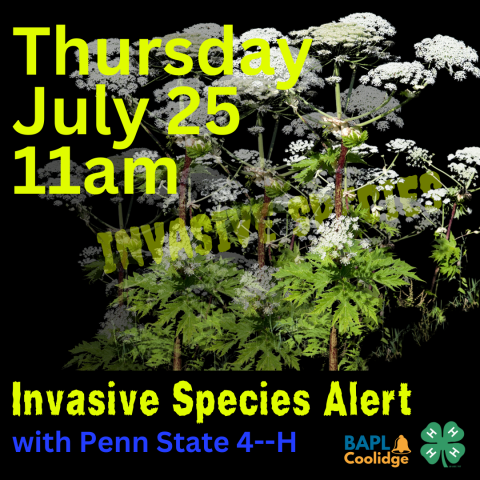 invasive species 4H