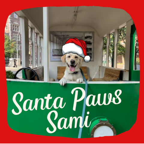 santa paws sami