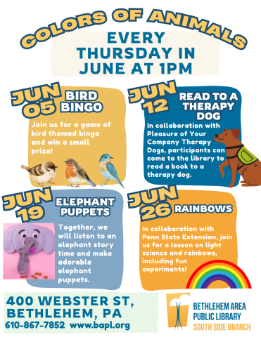 Summer Reading Flyer