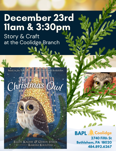 christmas owl story & craft