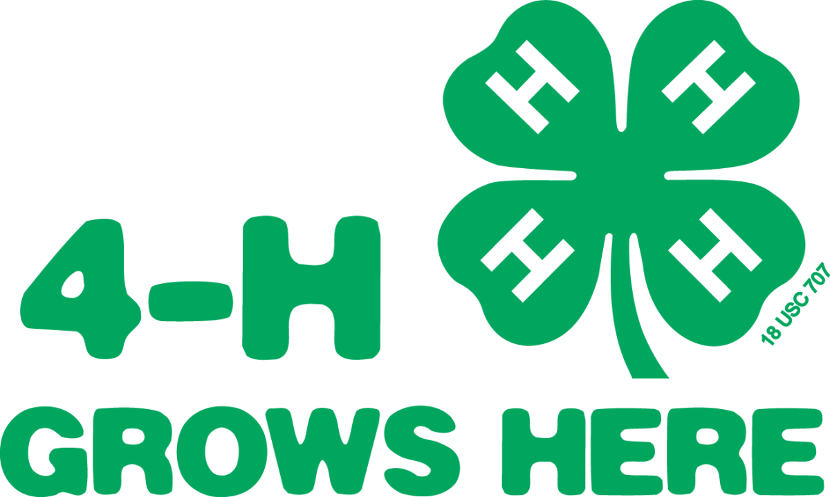 4-H Grows Here