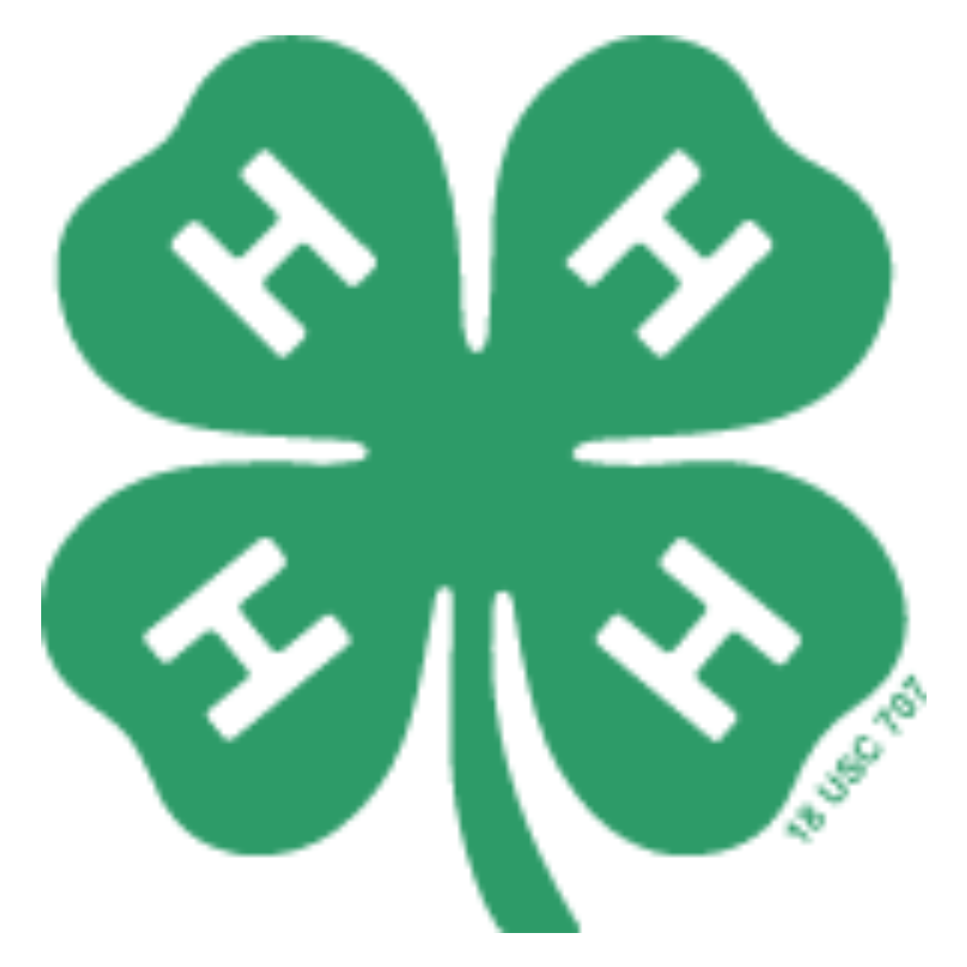 4-H Workshops in engineering, earth science, animal science, environmental science.