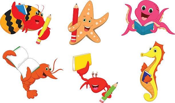 6 various ocean creatures