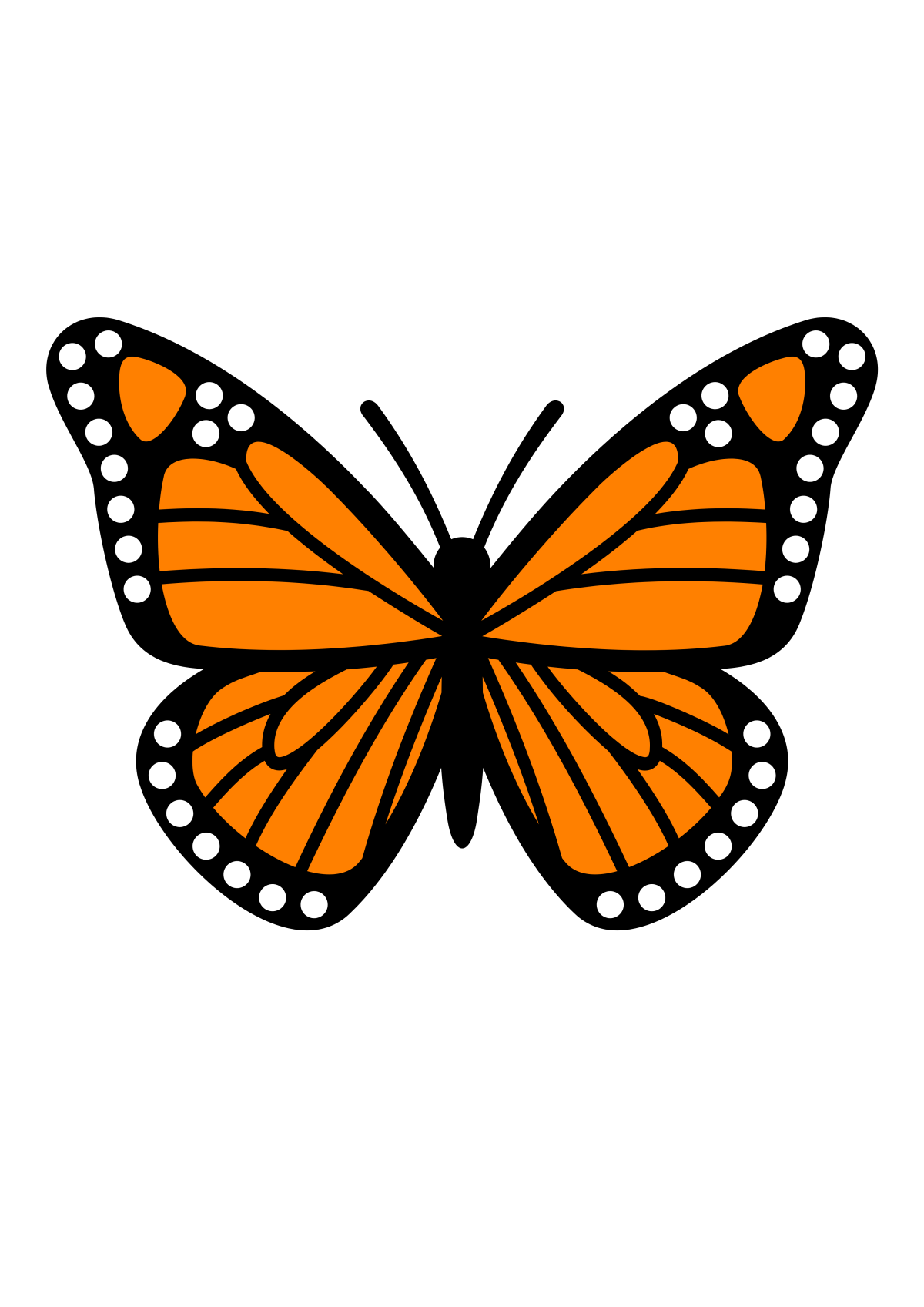 Monarch Butterfly