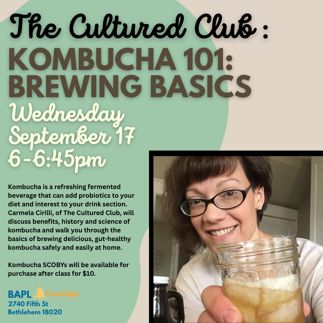 Kombucha 101 brewing basics